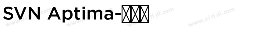 SVN Aptima字体转换